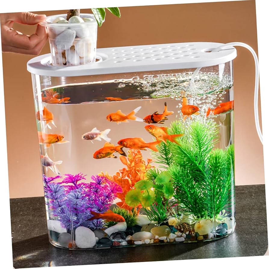 水槽　生け簀 活魚水槽・生け簀の販売・通販 – 活魚水槽、生け簀の製造販売